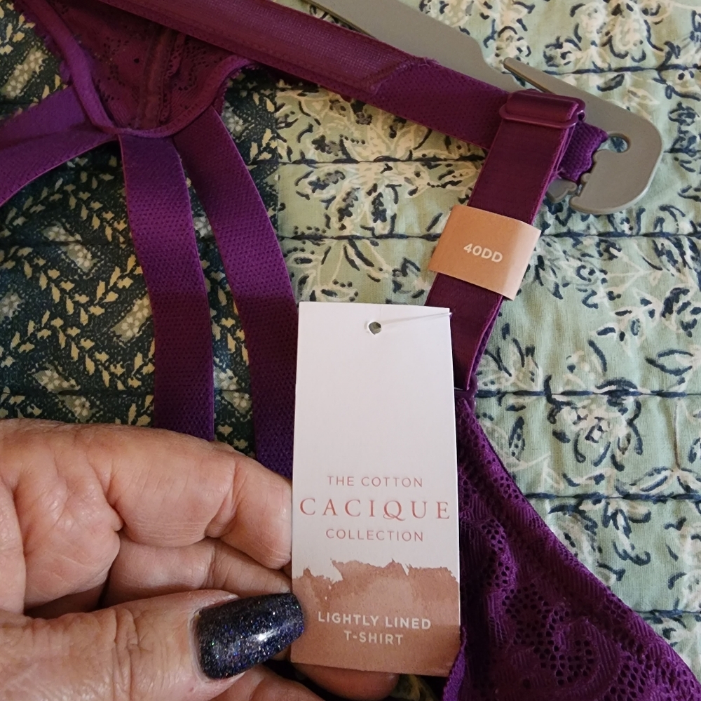 Lane Bryant - Picture 4 of 4